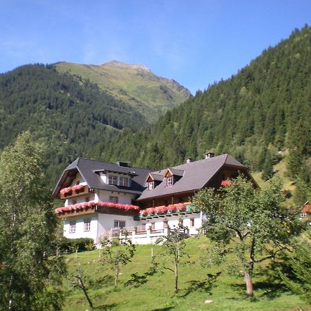 Biobauernhof Spieszschweiger Villa Sankt Nikolai im Sölktal Екстериор снимка