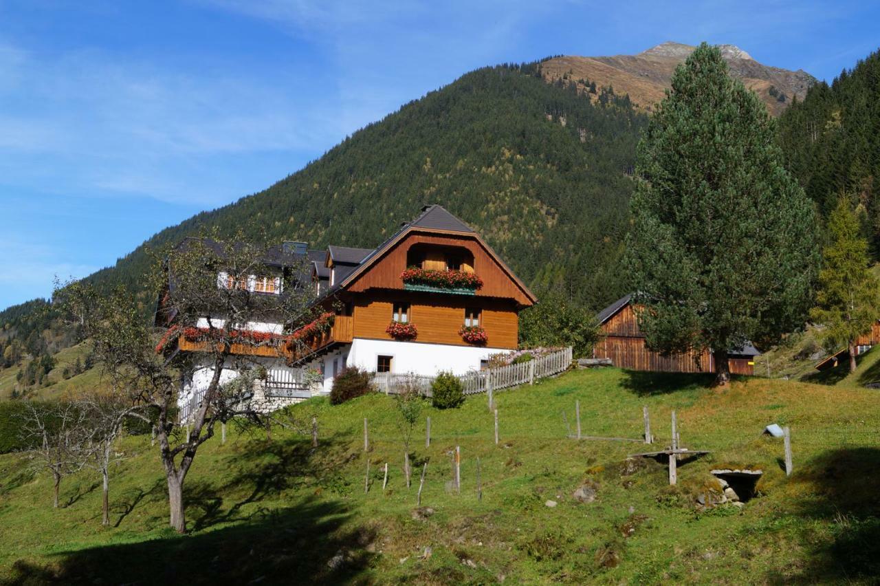 Biobauernhof Spieszschweiger Villa Sankt Nikolai im Sölktal Екстериор снимка