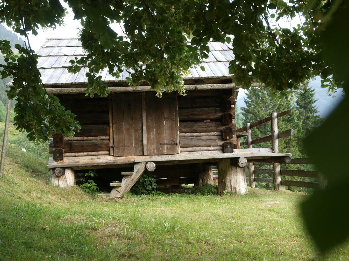 Biobauernhof Spieszschweiger Villa Sankt Nikolai im Sölktal Екстериор снимка