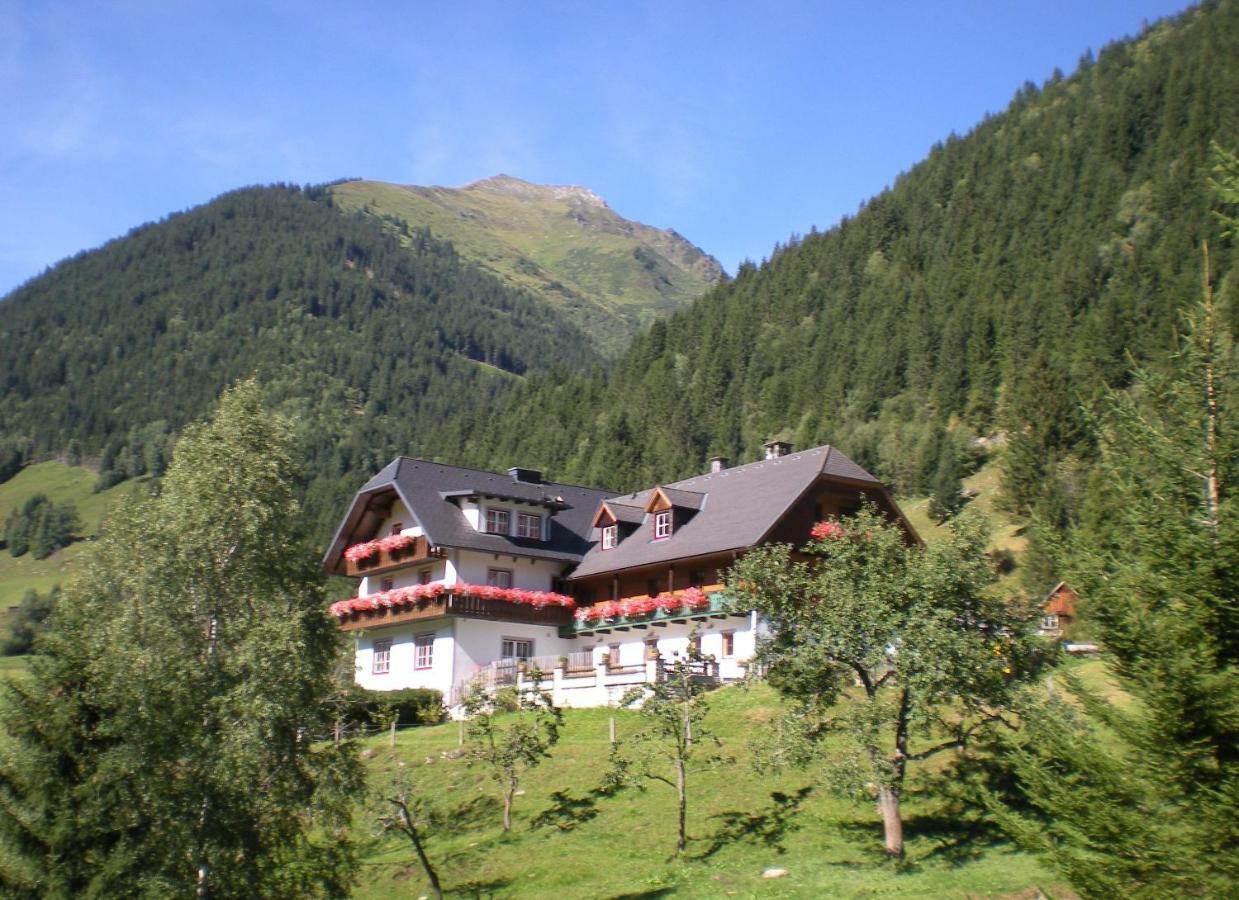 Biobauernhof Spieszschweiger Villa Sankt Nikolai im Sölktal Екстериор снимка